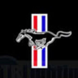 Meet your Posher, Vikash